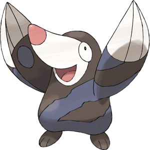 Pokémon Rototaupe