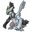 Pokémon Kyurem Noir