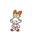 Pokémon Flambino