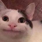 Photo de profil de Saymymeme