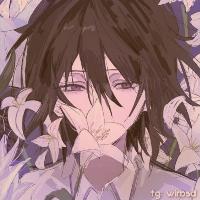 Photo de profil de Melioo